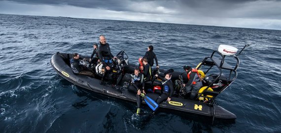 HUMBER OCEAN PRO 600-800 DIVE SERIES
